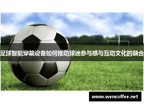 足球智能穿戴设备如何推动球迷参与感与互动文化的融合